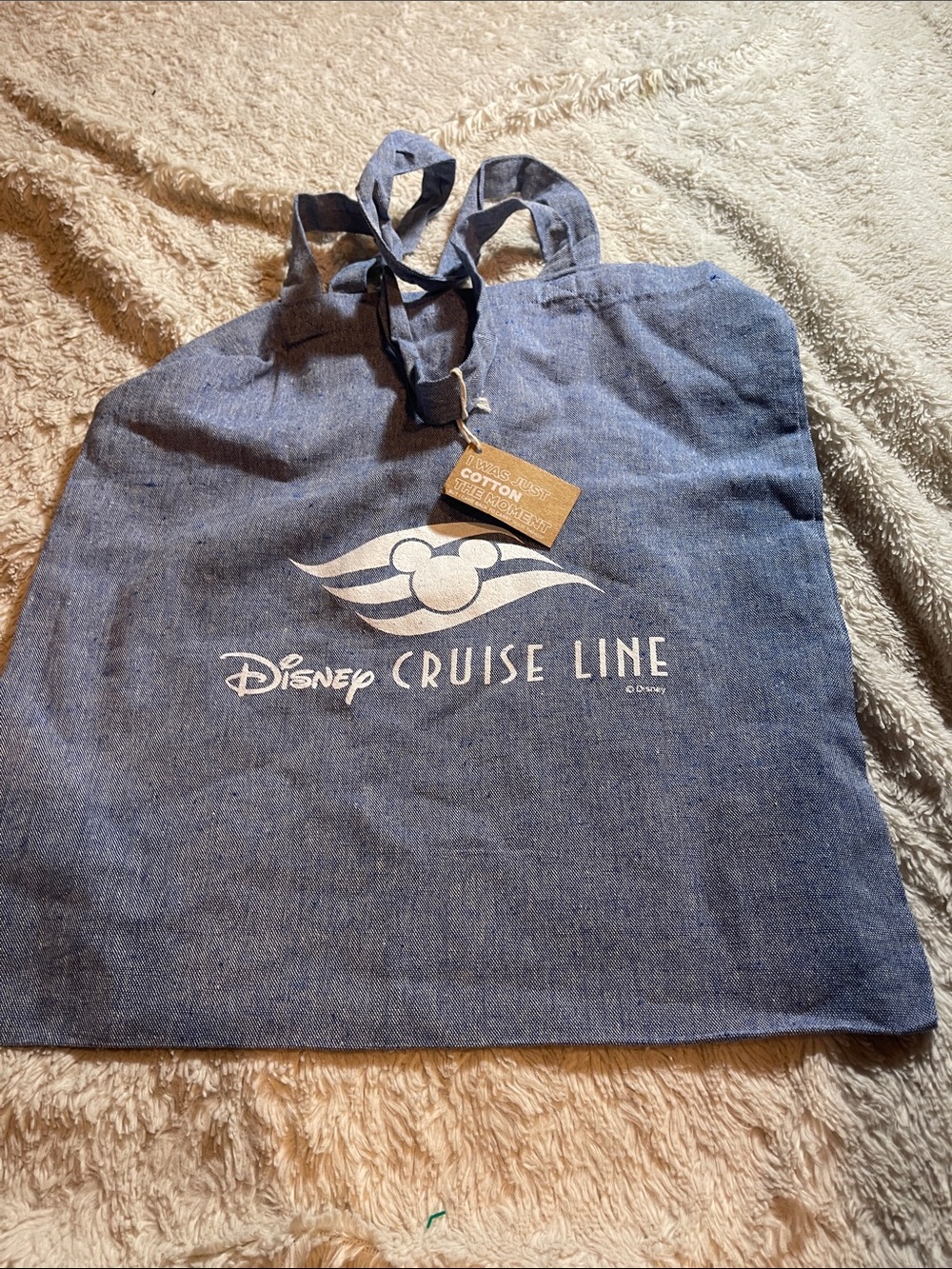 Disney cruise line tote bag